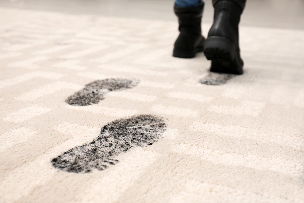 Dillerup Teppichreinigung: Person die über einen Teppich läuft und Abdrücke hinterlässt.
